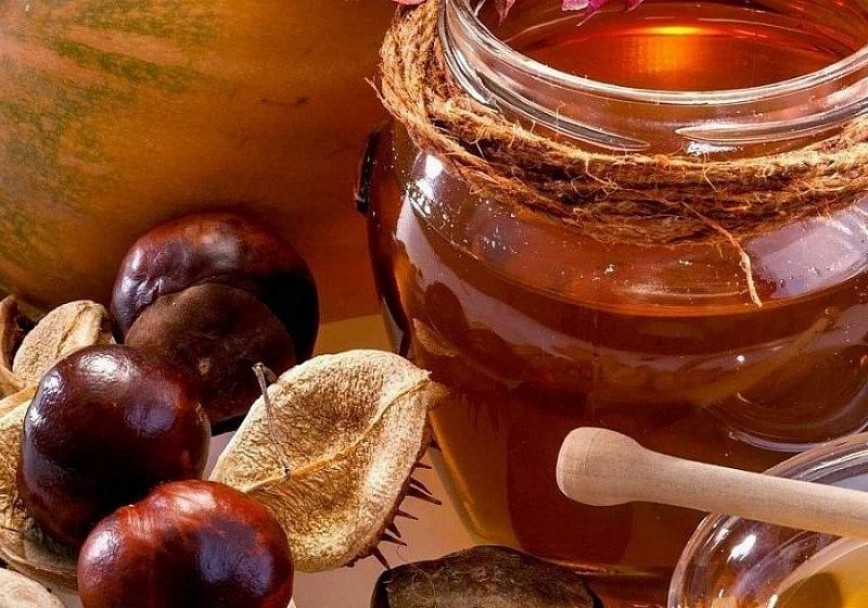 Что такое каштановый мед? — Люди Роста