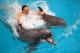 Дельфины: помощь или самоутешение?