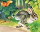 Крутой заяц – басня в стихах Олеси Емельяновой про имидж
