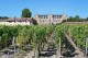 Chateau Cantenac Brown построит новую органическую винодельню