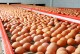 Московский бизнесмен может вложить почти 5 млрд рублей в производство яиц под Воронежем