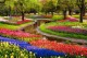 32 га цветов в Нидерландах