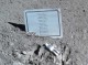 Памятник погибшим космонавтам на Луне