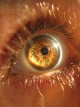 Ученые впервые засняли редкий феномен свечения глаз человека