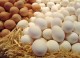 Черный список Роскачества: яйца, которые не стоит брать в магазине!