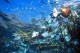 Большое мусорное пятно в Тихом океане