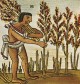 Выращивание зерна вызвало к жизни государство