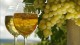 Учёные воссоздали "морское вино" по рецептам древних греков