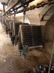 Игристое вино из Абрау