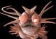 Инопланетная форма жизни или водный обитатель? Топ-10 самых странных существ из морских глубин